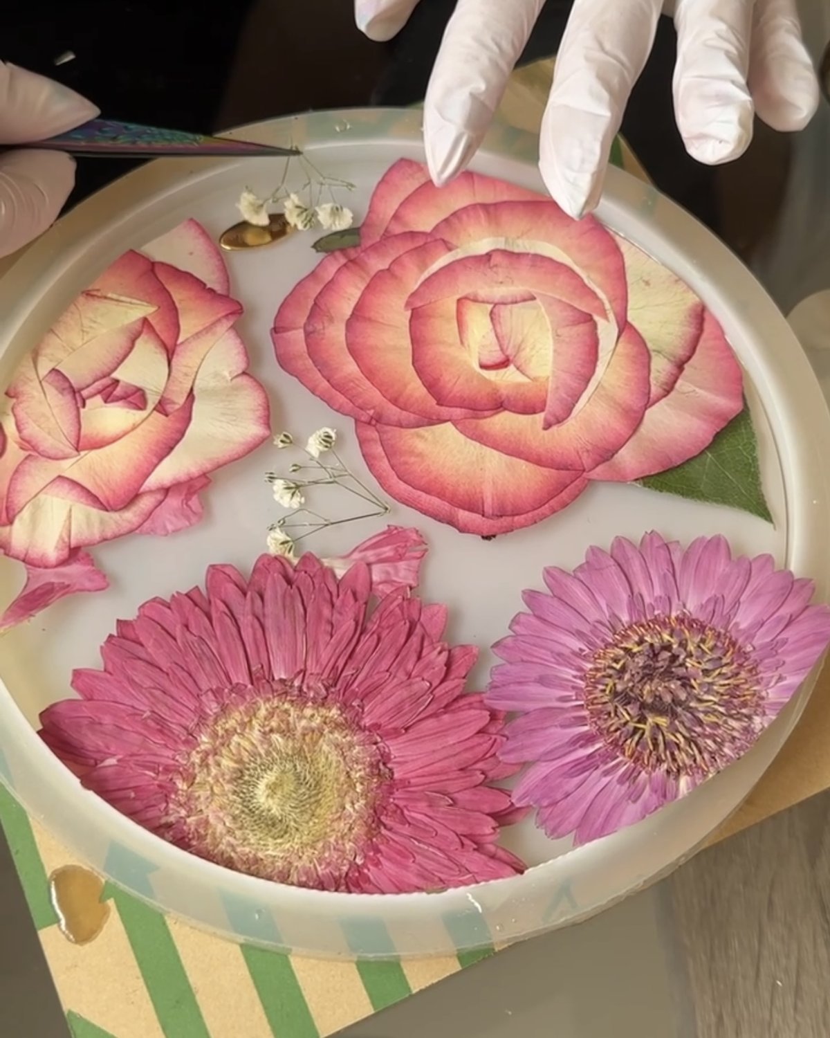 お皿に押し花を仮置きする
